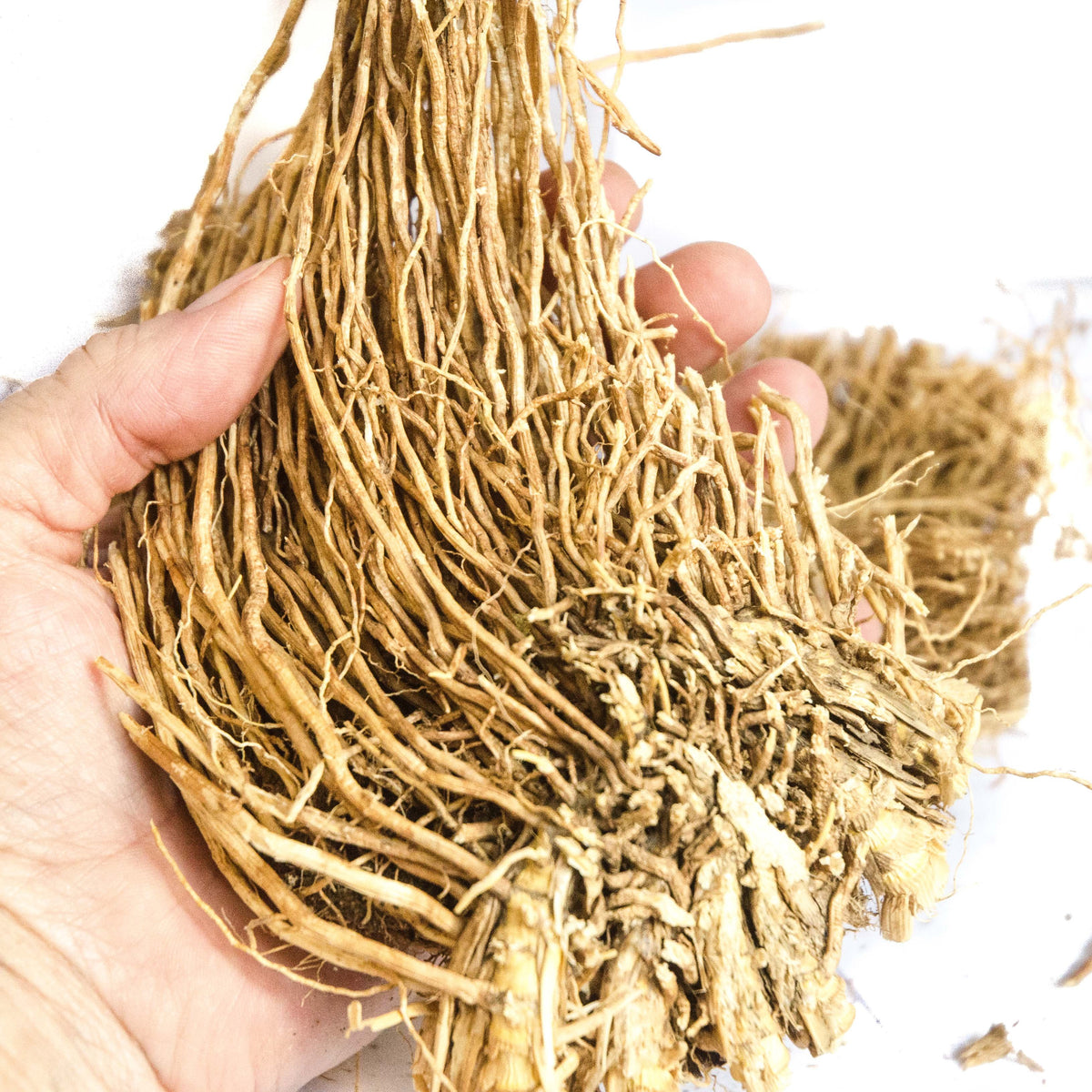 Vetiver (khus) Root