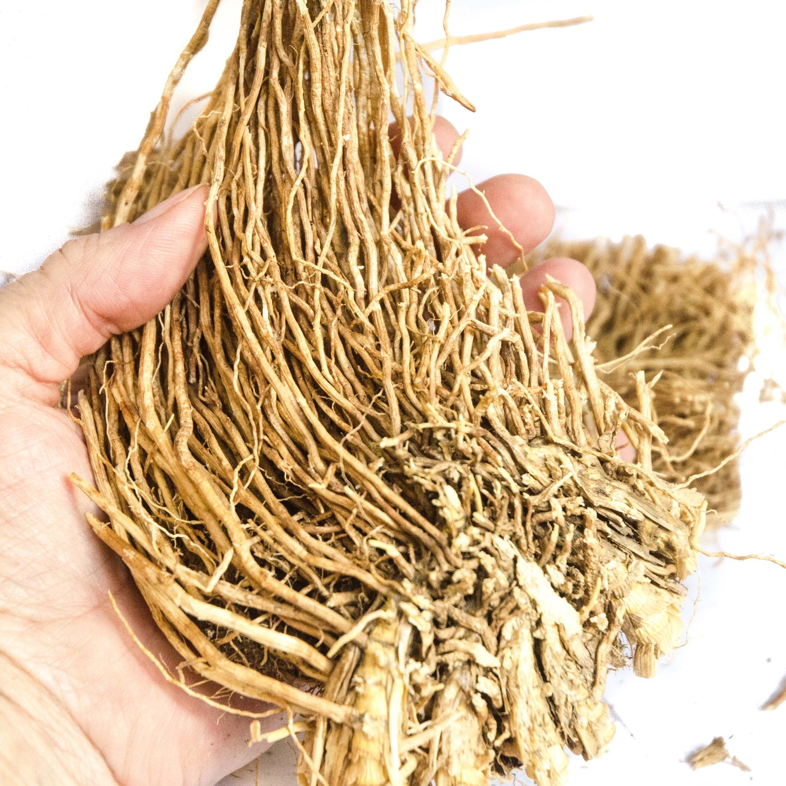 Vetiver (khus) Root