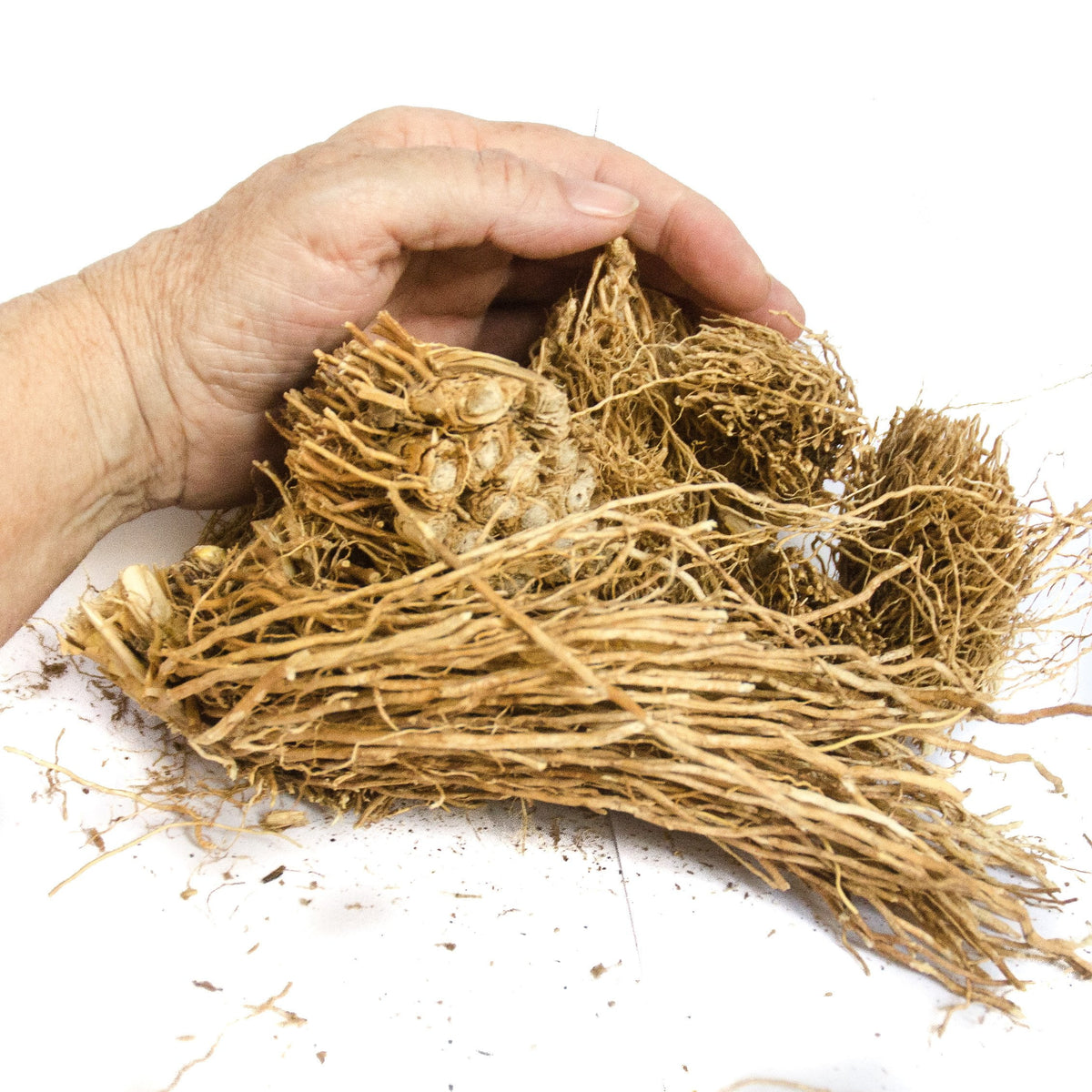 Vetiver (khus) Root