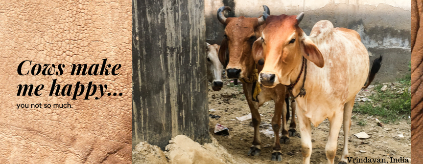 Cows Make Me Happy Mug