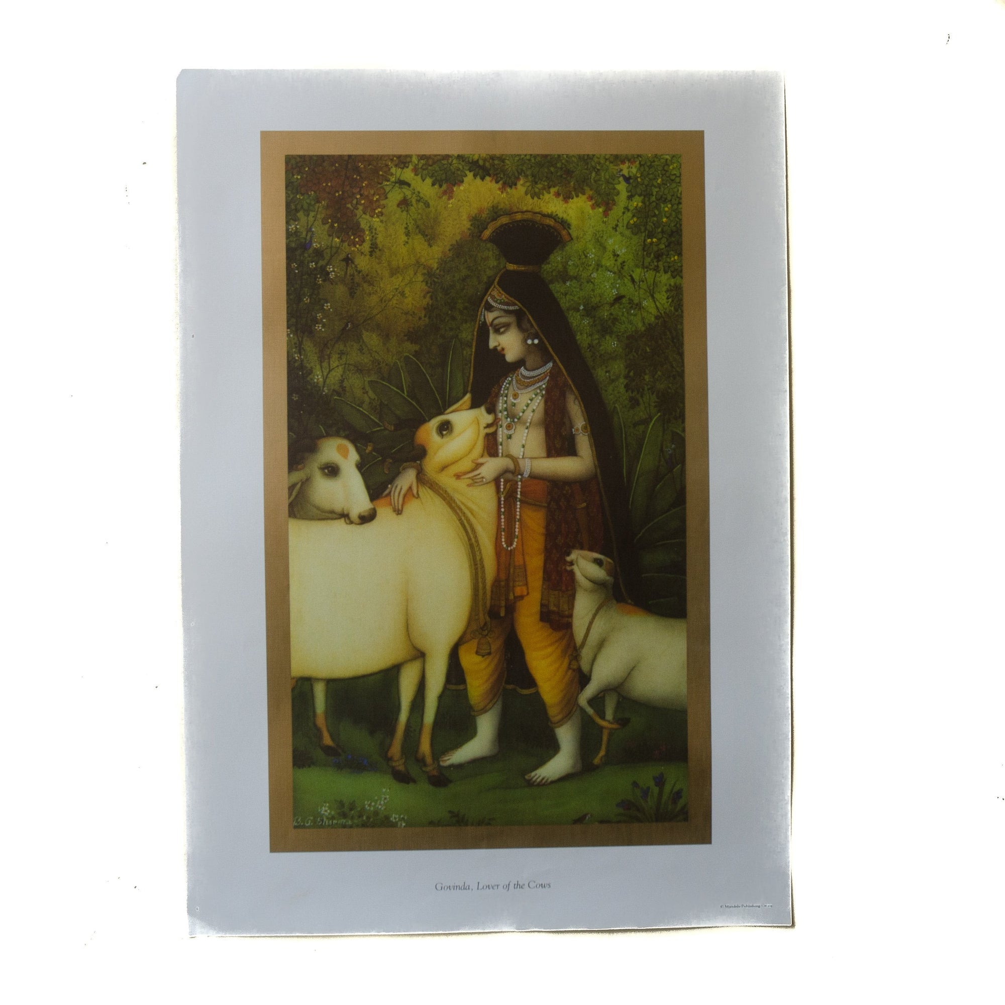  Govinda, Lover of the Cows Poster