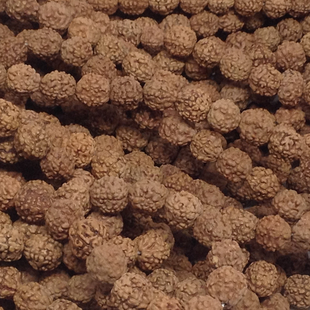 8mm Natural Rudraksha Bulk Wholesale