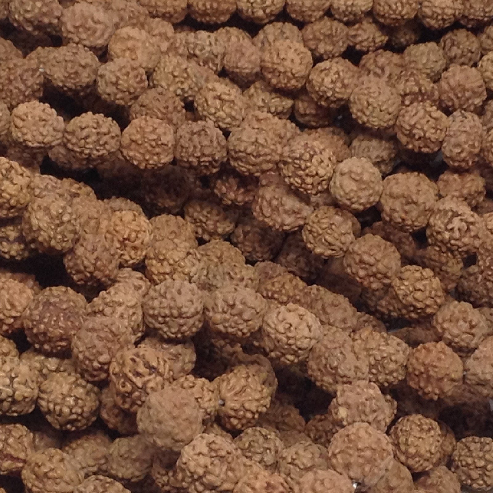 9mm Natural Rudraksha Bulk Wholesale