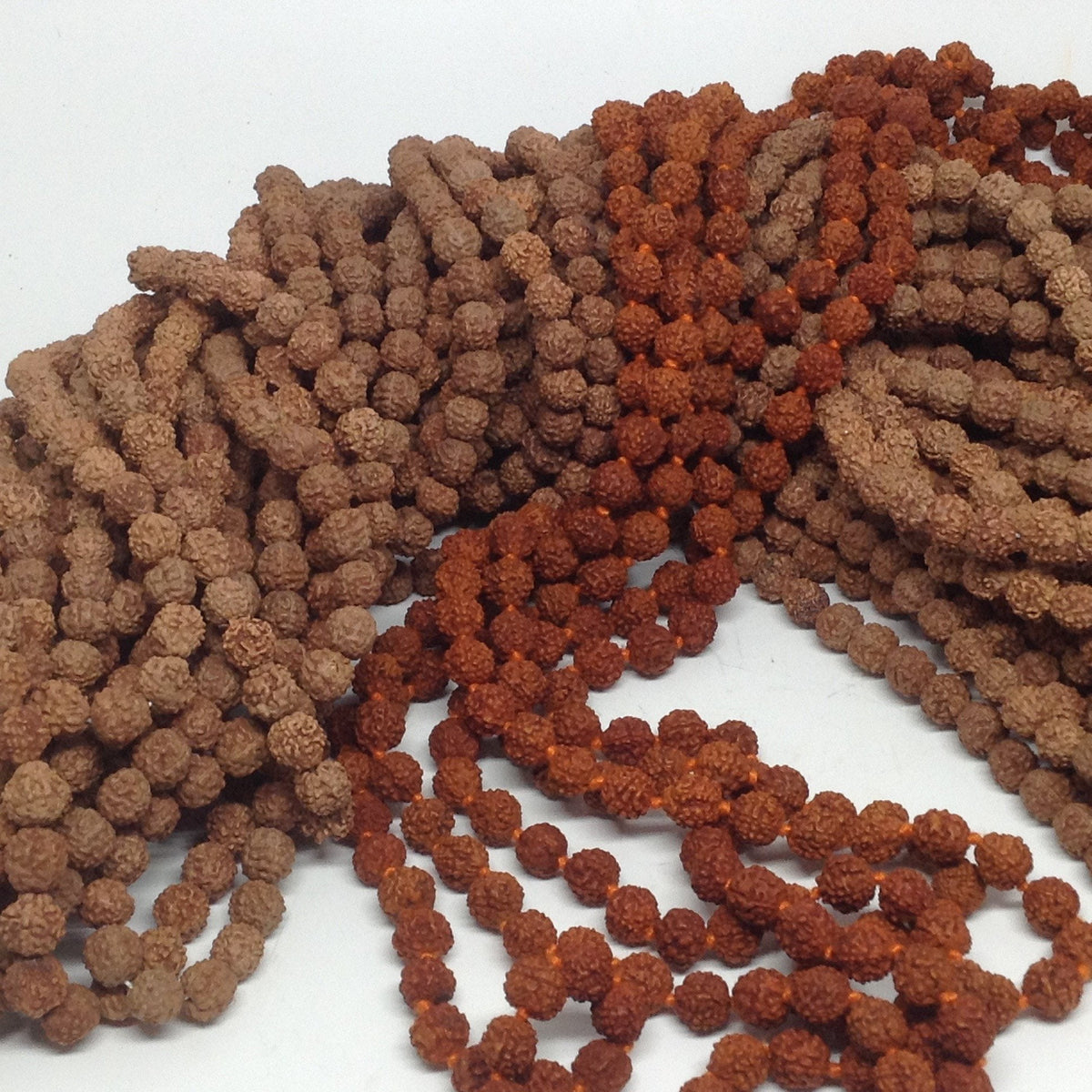 9mm Natural Rudraksha Bulk Wholesale