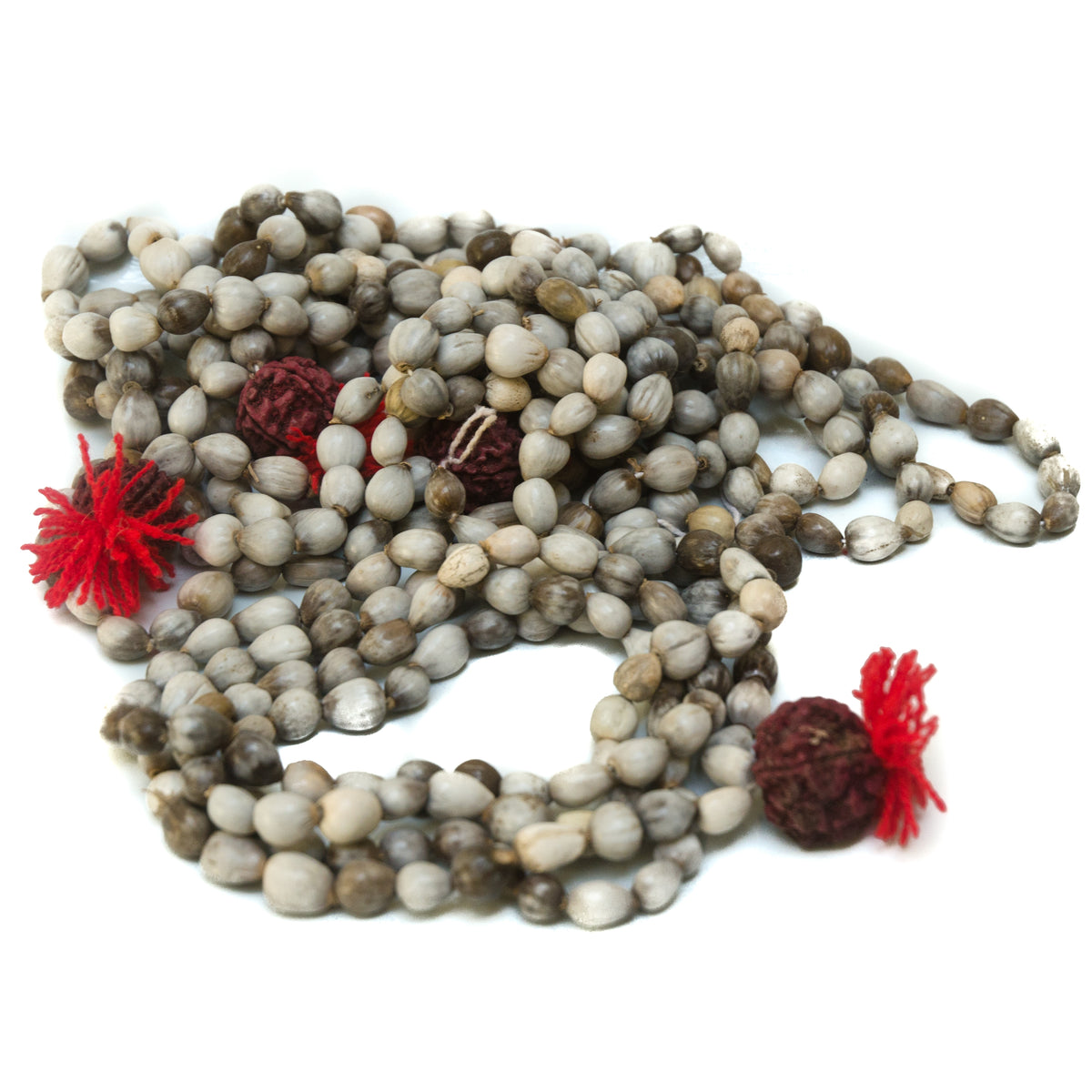 Job&#39;s Tears Vaijanti Seed Beads