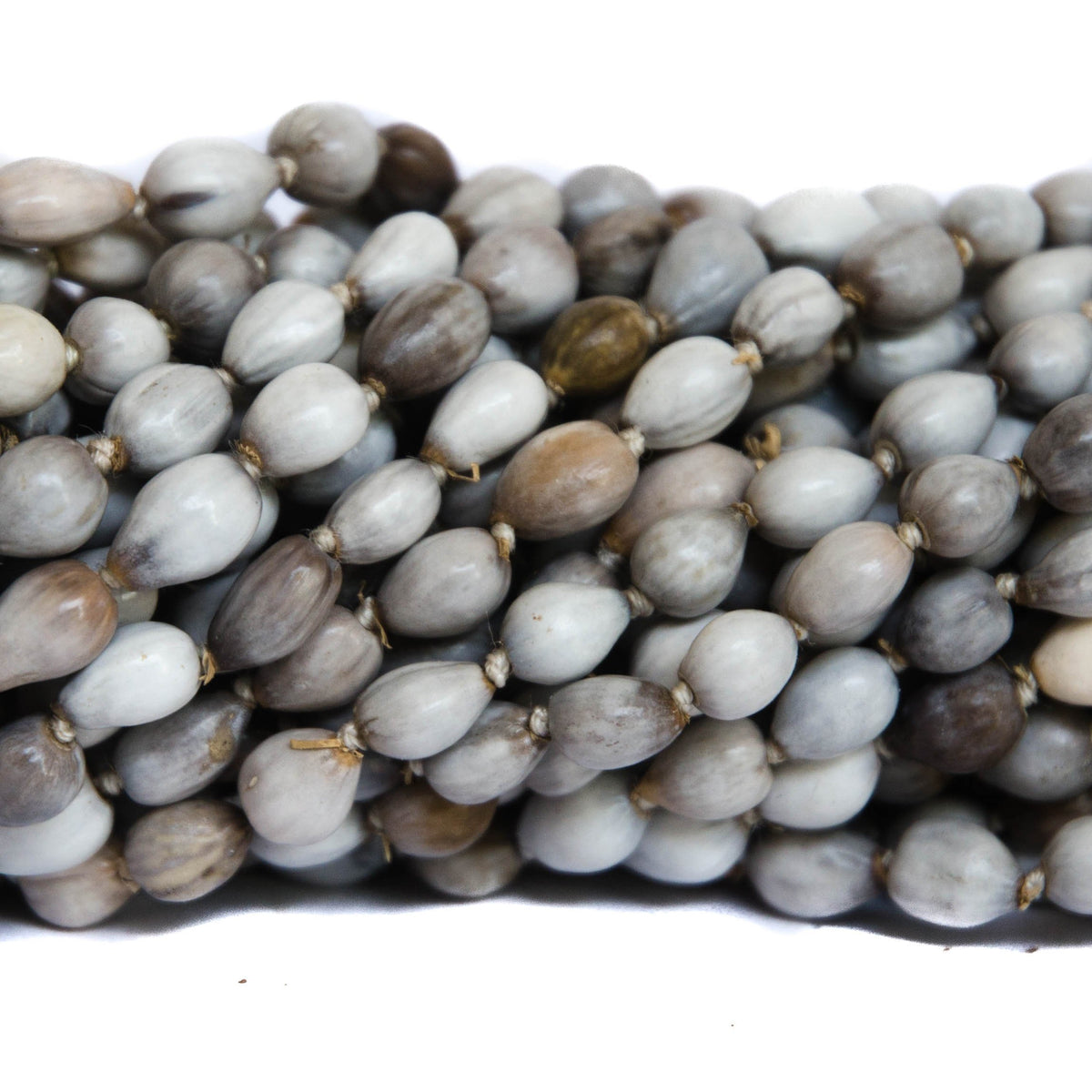 Job&#39;s Tears Vaijanti Seed Beads 