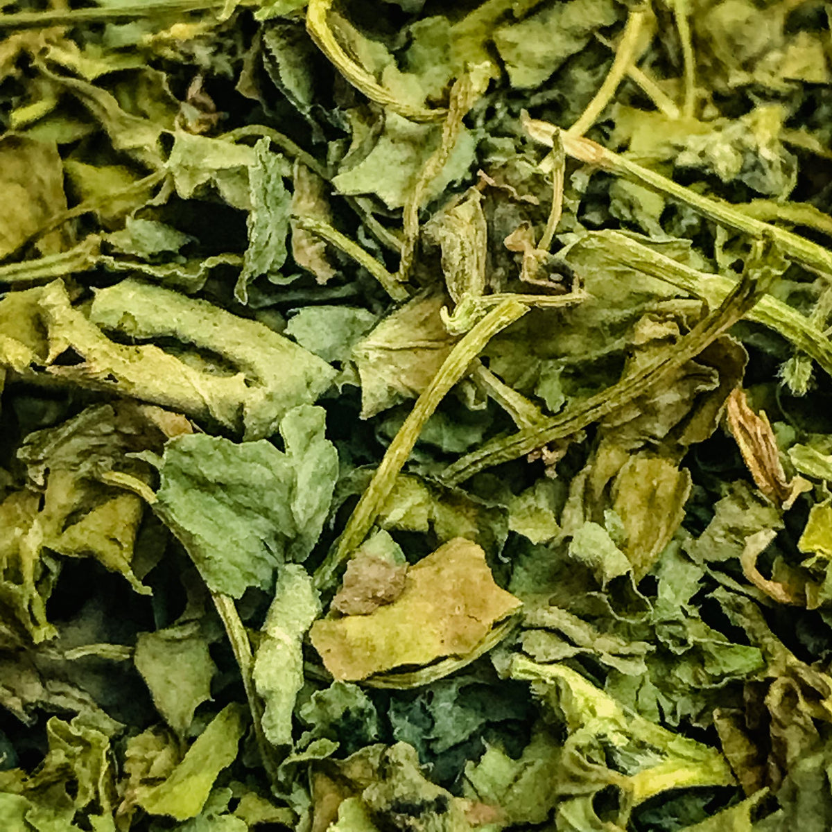 Kasuri Methi (Dried Fenugreek leaves) indiodyssey