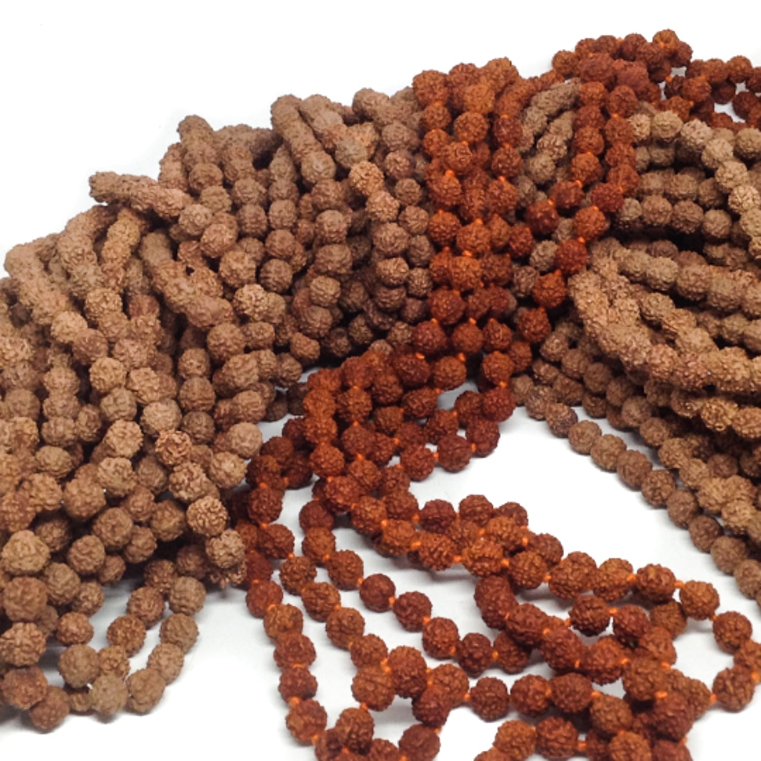 Natural Rudraksha IndiOdyssey