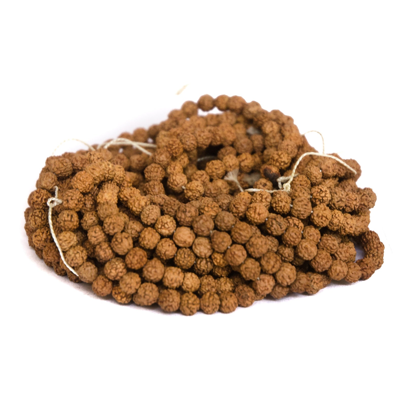 6mm Natural Rudraksha, 10pcs