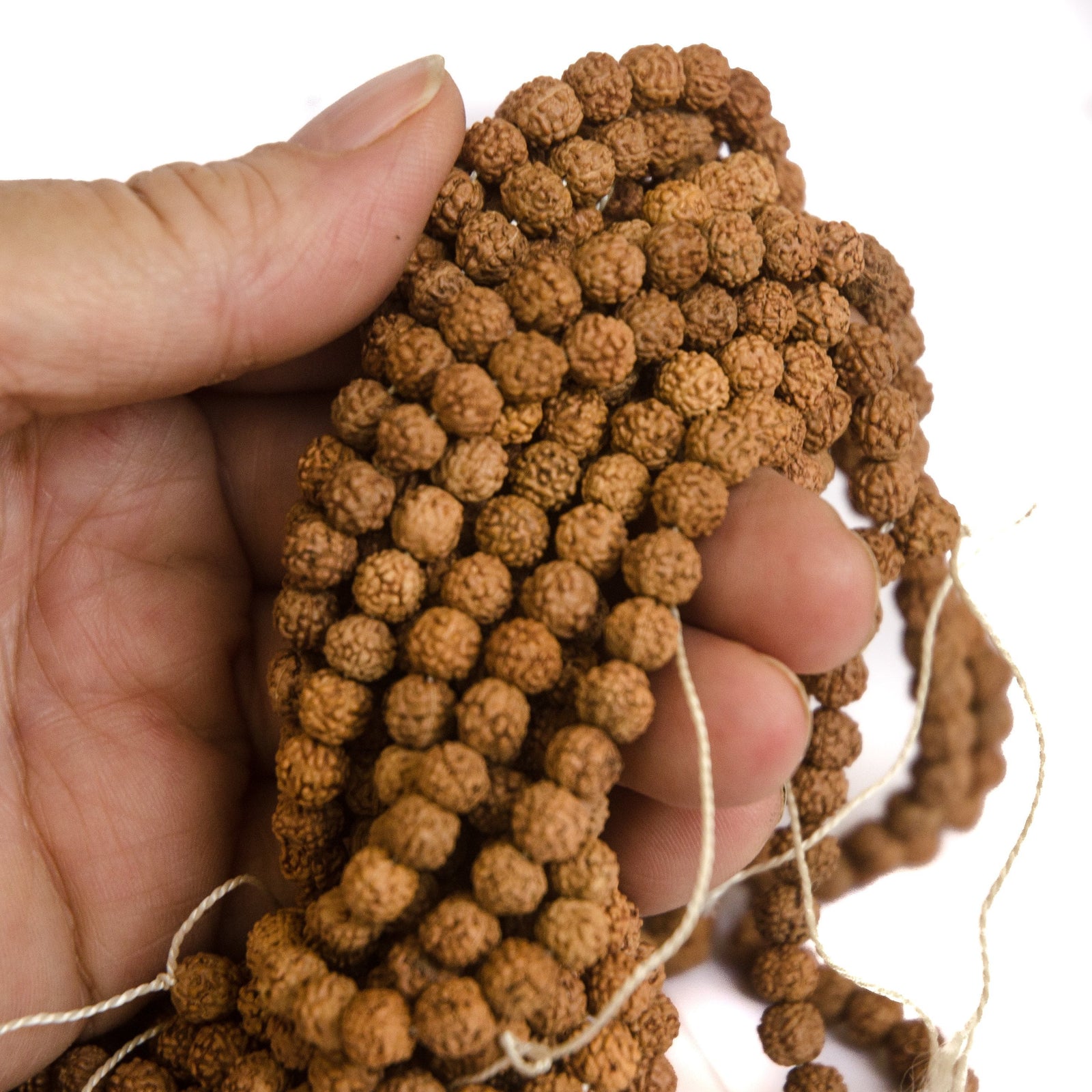 6mm Natural Rudraksha, 10pcs