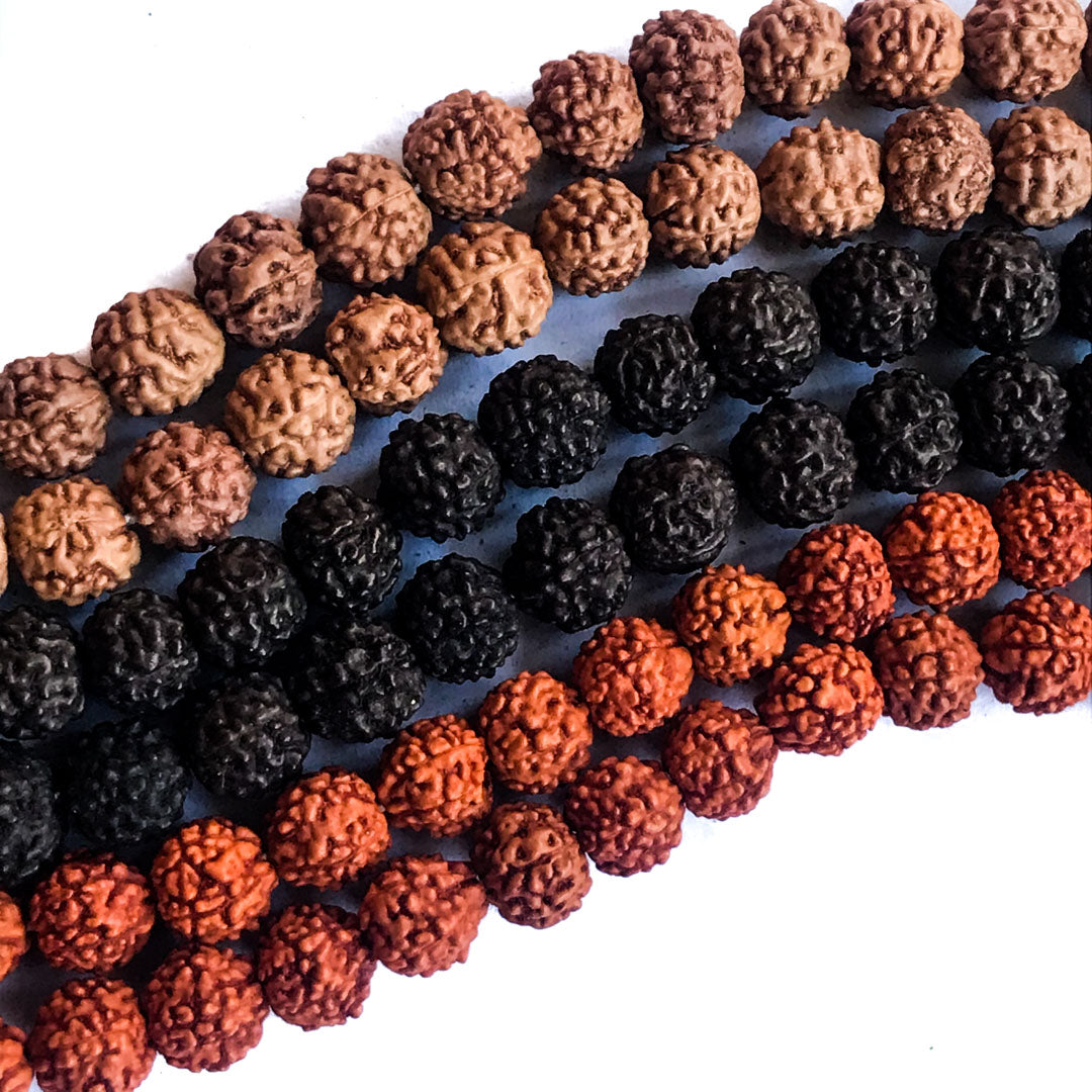 Black, red, natural Rudraksha beads IndiOdyssey