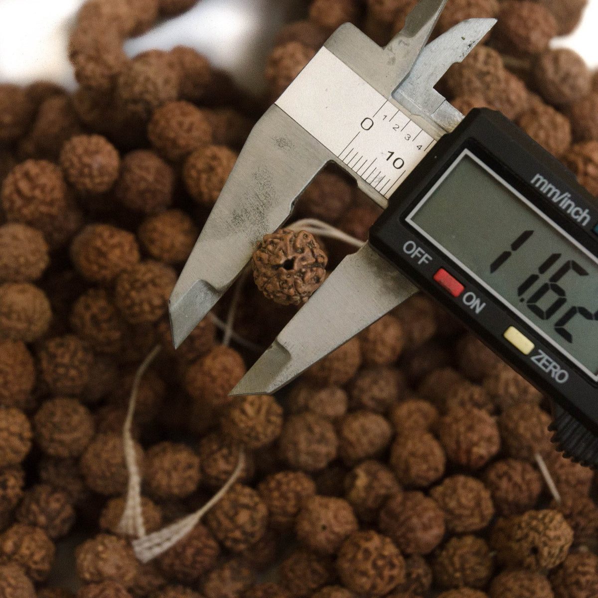 Natural 12mm Rudraksha