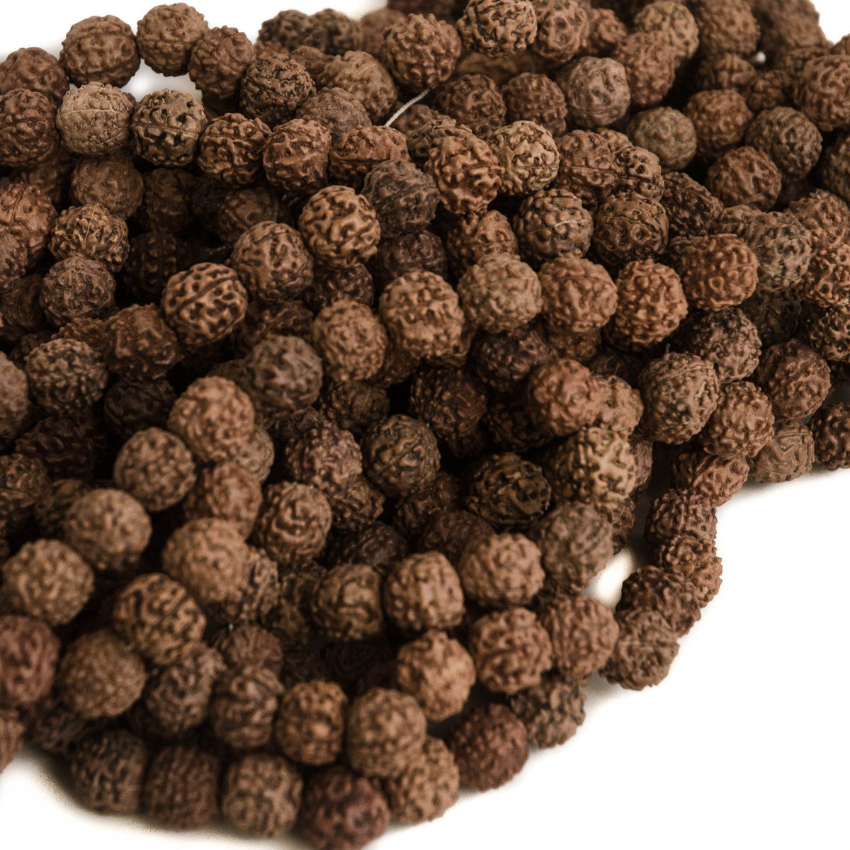 Natural 12mm Rudraksha