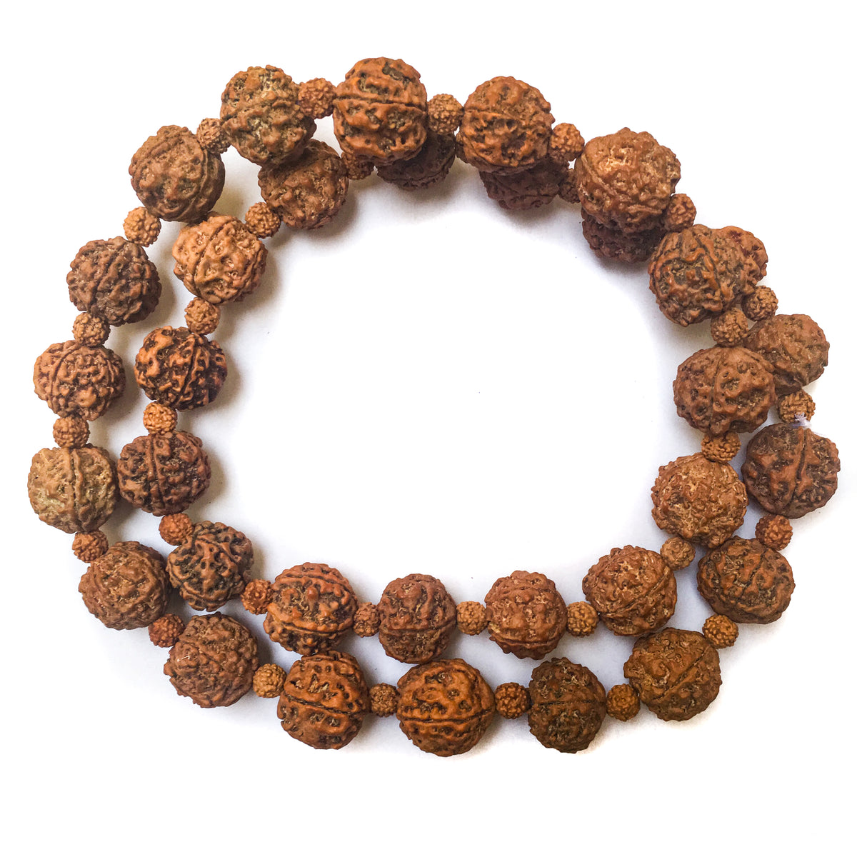 Large Rudraksha Necklace