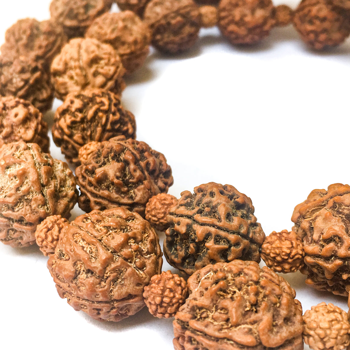 Large Rudraksha Necklace