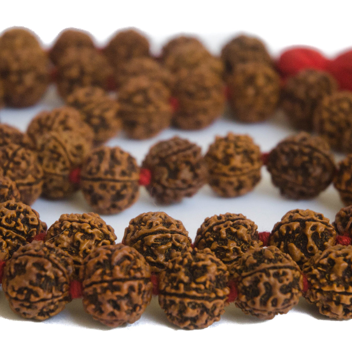 Large Rudraksha Necklace