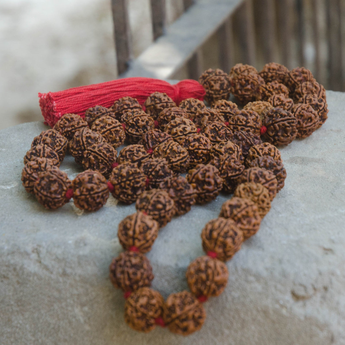 Large Rudraksha Necklace