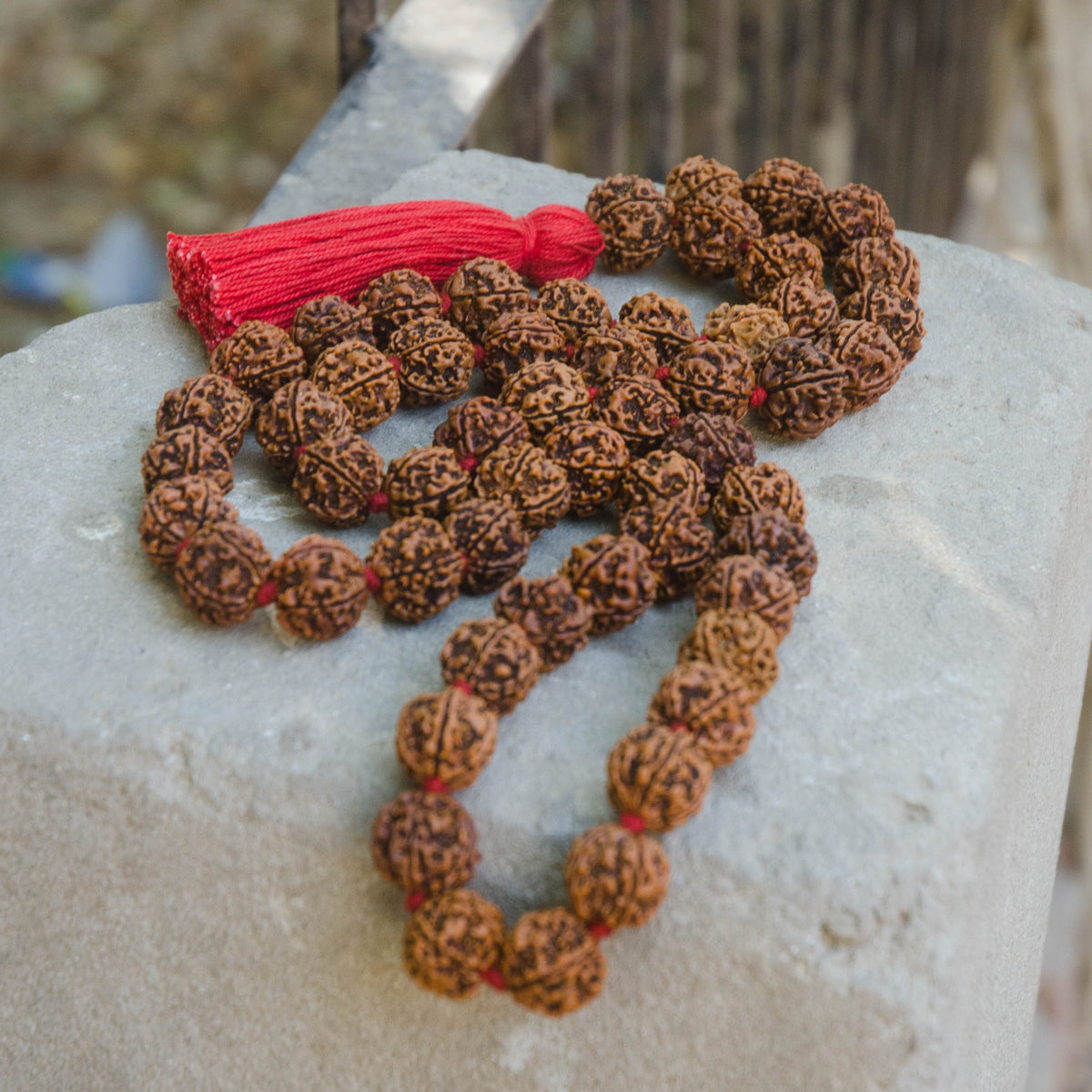 Large Rudraksha Necklace