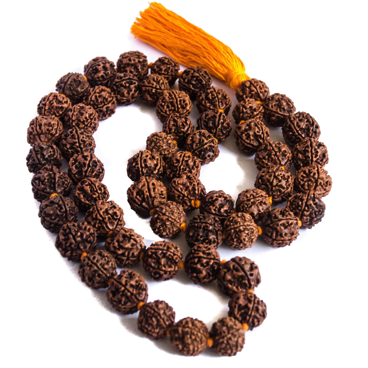 Large Rudraksha Necklace