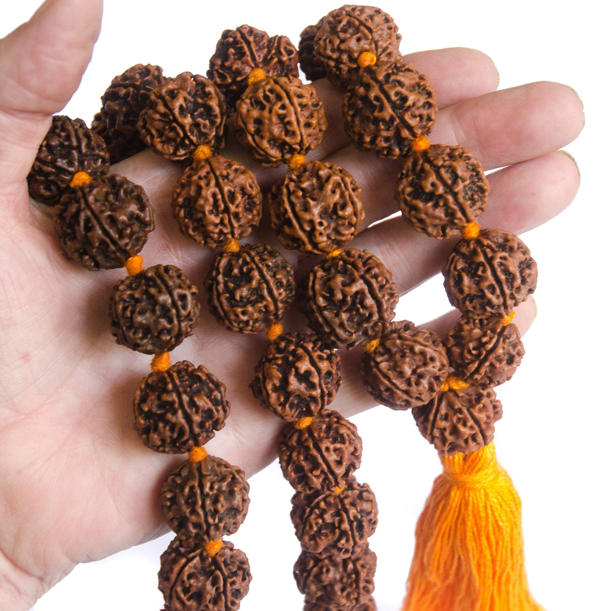 Large Rudraksha Necklace