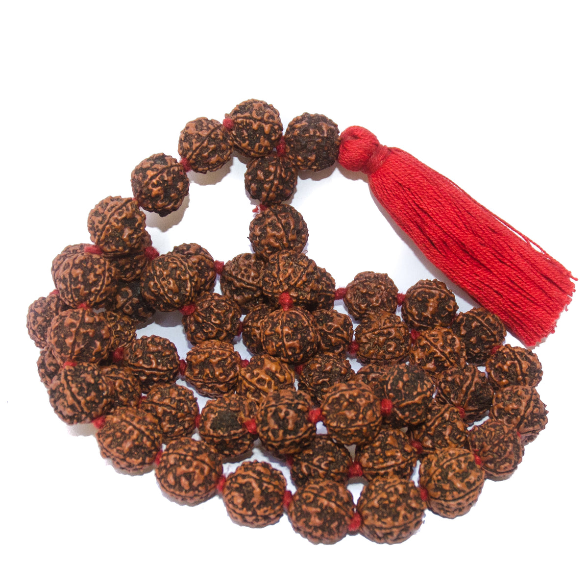 Large Rudraksha Necklace IndiOdyssey