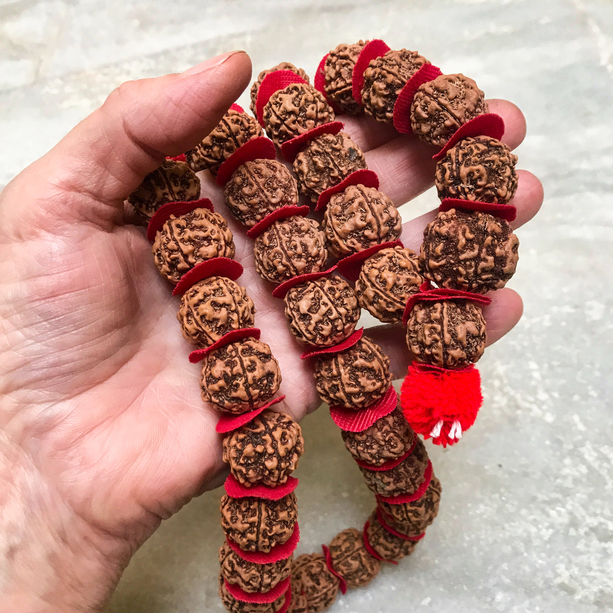 Large Rudrkasha Half Mala with Red Disc by Indiodyssey