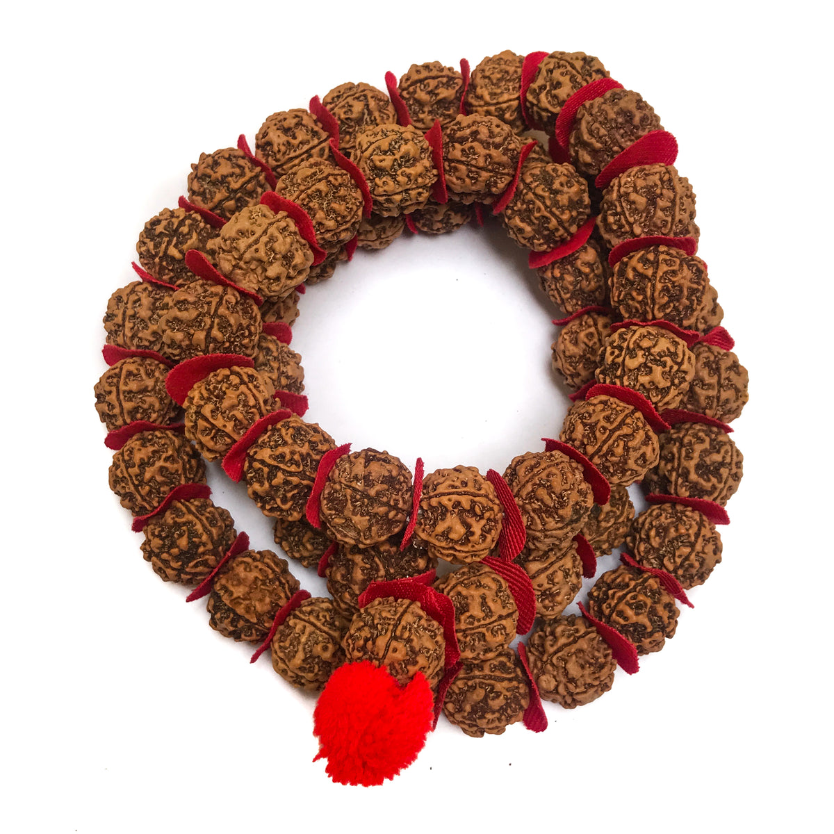 Large Rudrkasha Half Mala with Red Disc by Indiodyssey