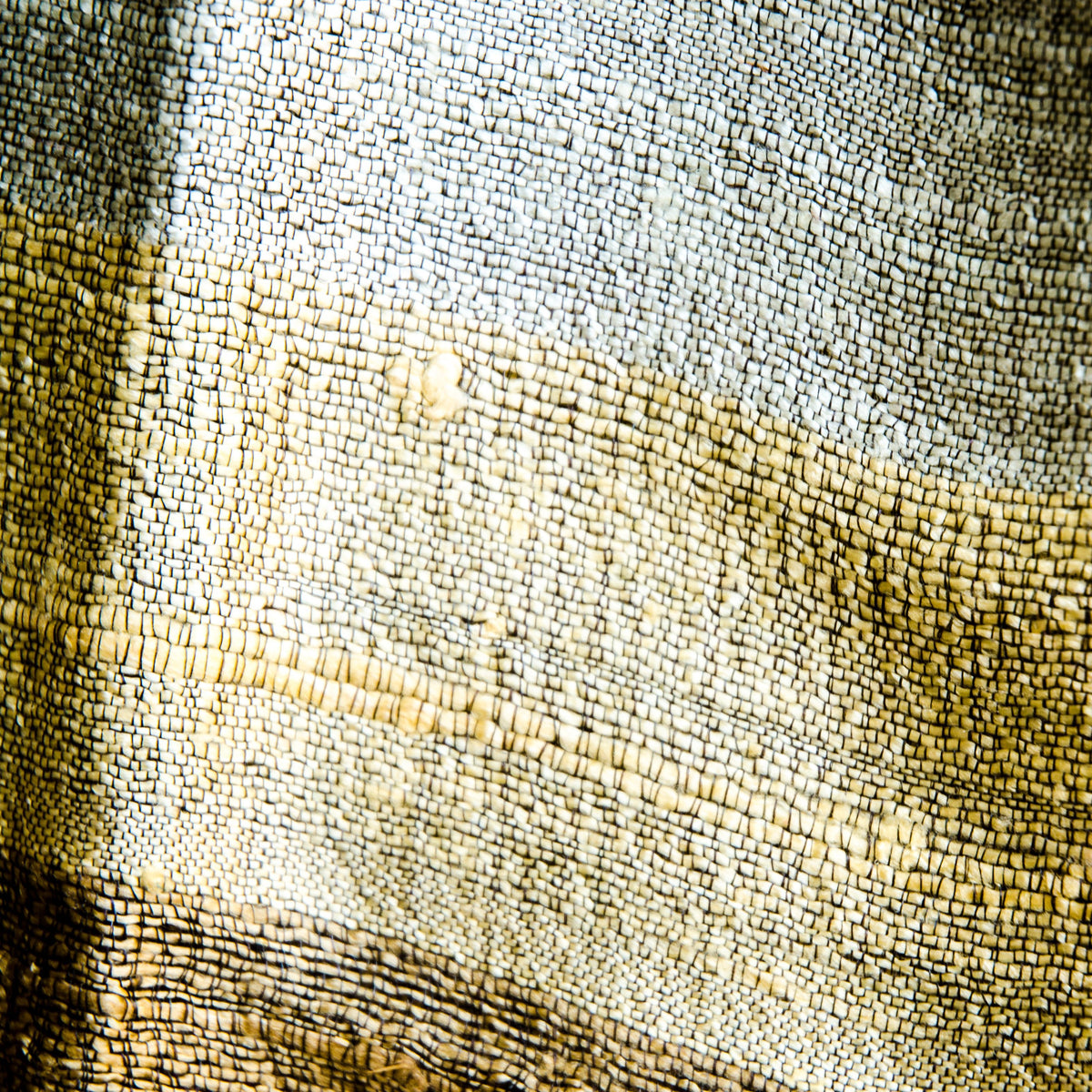 Bihari Raw Silk Scarf - Gold &amp; Red