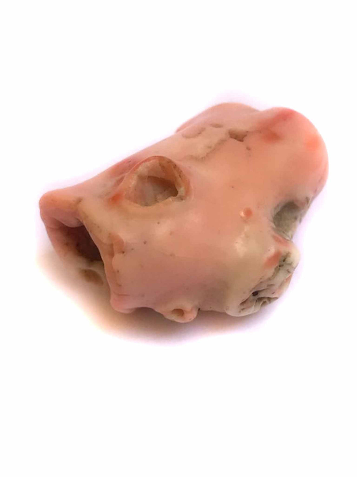 Natural Deep Sea Coral Branch