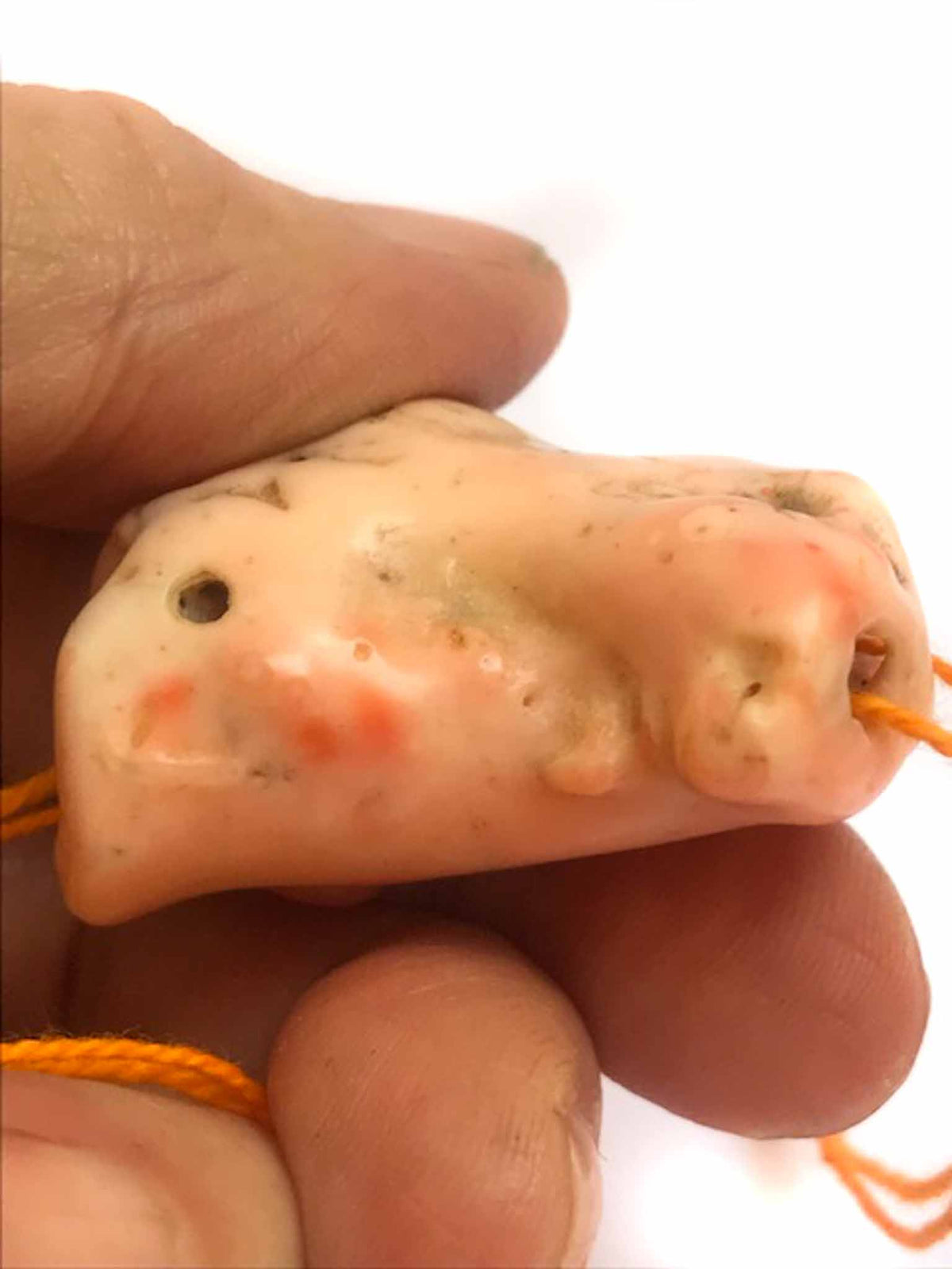 Natural Deep Sea Coral Branch