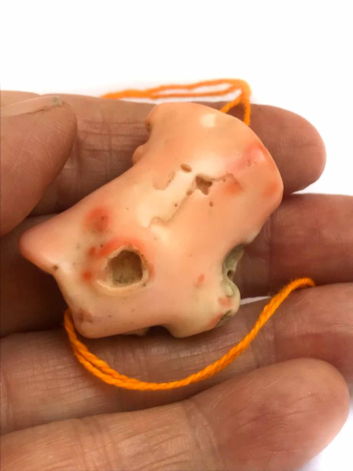 Natural Deep Sea Coral Branch