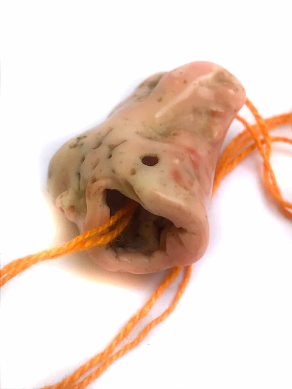 Natural Deep Sea Coral Branch