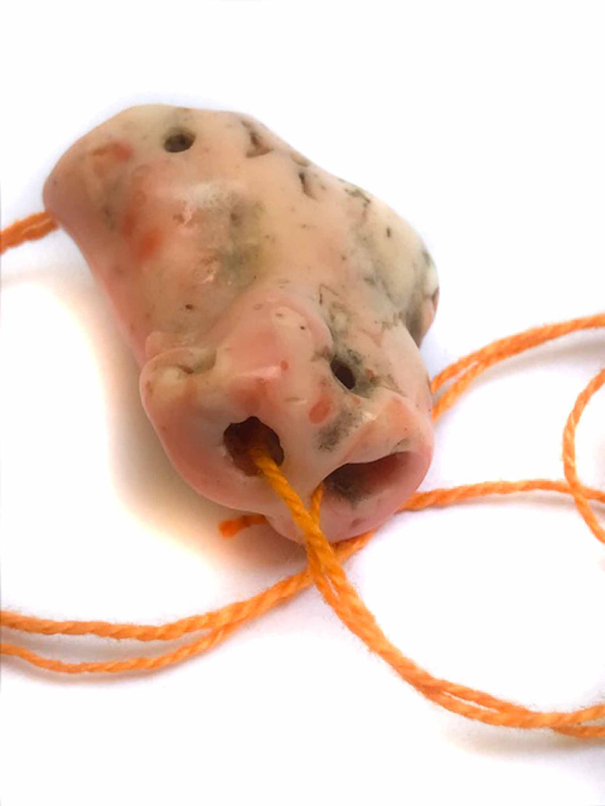 Natural Deep Sea Coral Branch