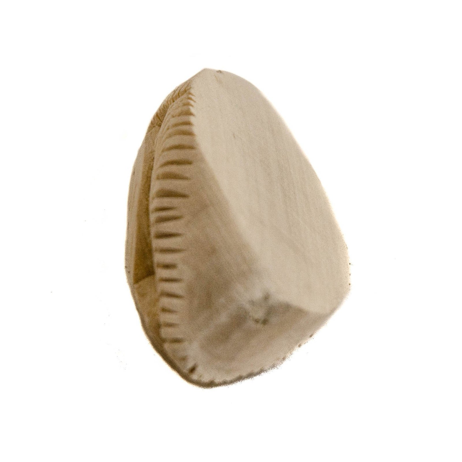 Narasimha Kadam Pendant