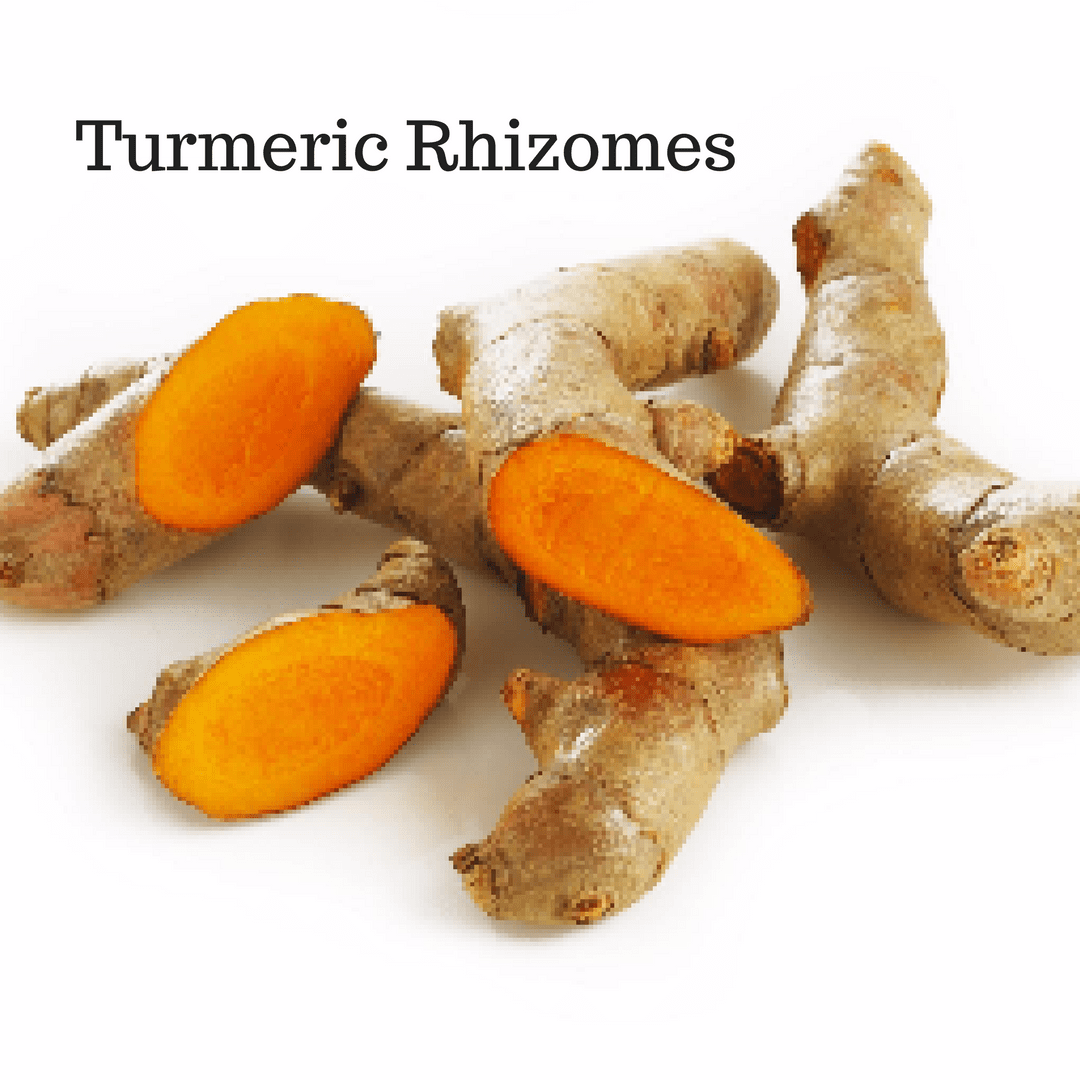 Turmeric Haldi Necklace