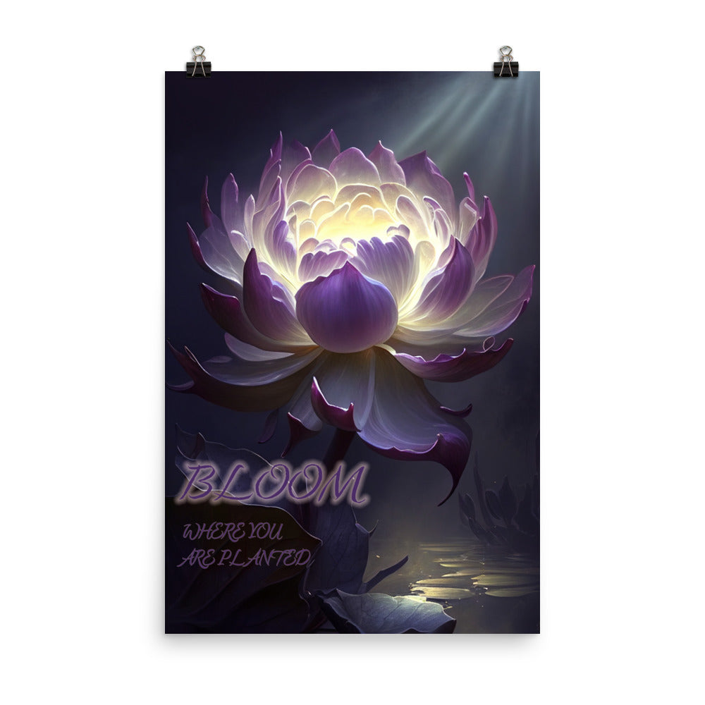 Lotus - Bloom Where You Are Planted Poster (24 x 36 inches)