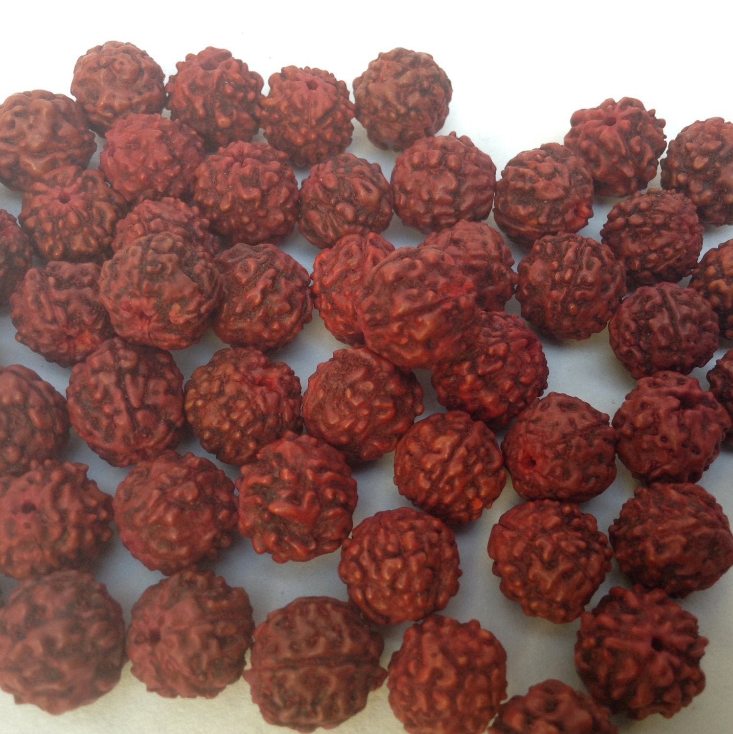 5mm Rudraksha Beads