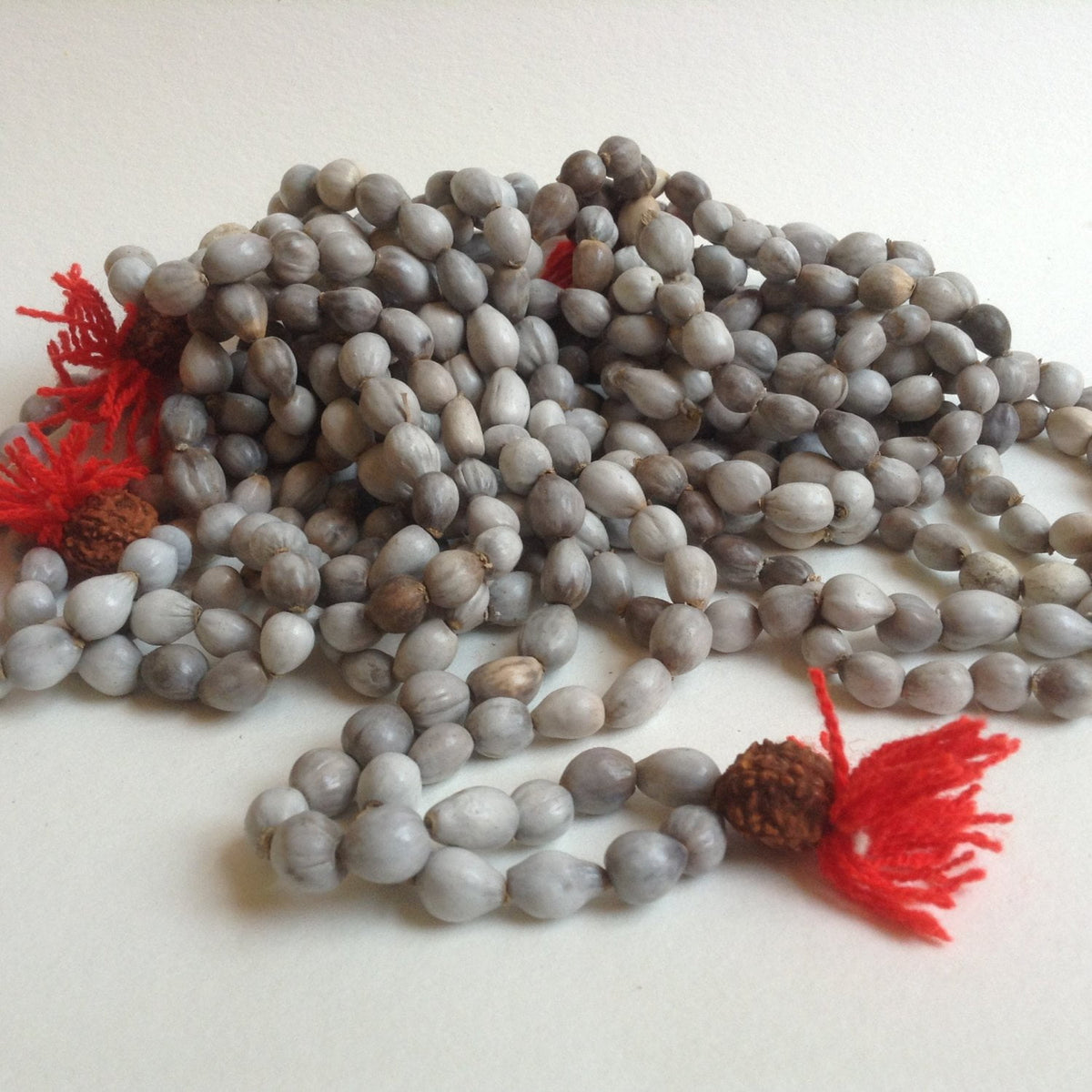 Job&#39;s Tears Vaijanti Seed Beads 