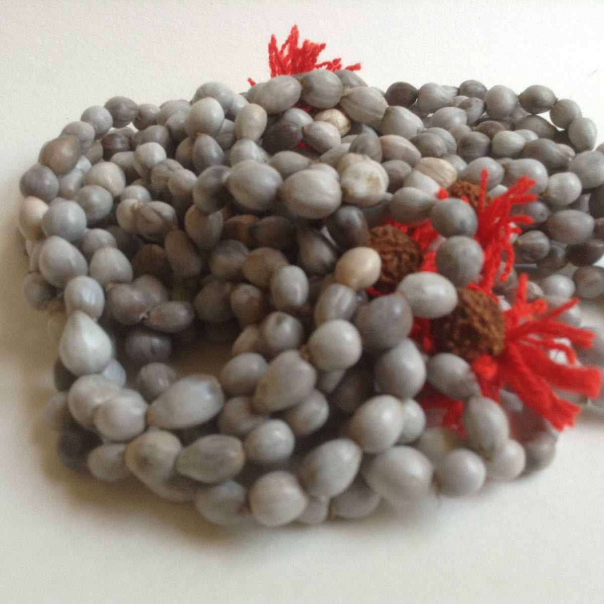 Job&#39;s Tears Vaijanti Seed Beads 