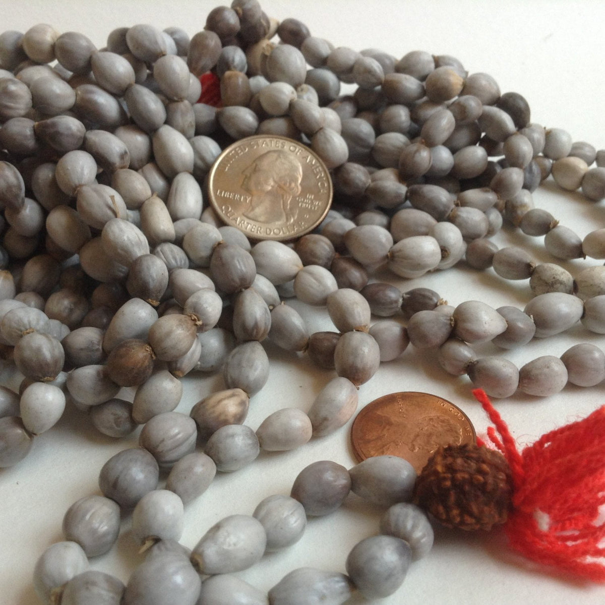 Job&#39;s Tears Vaijanti Seed Beads 